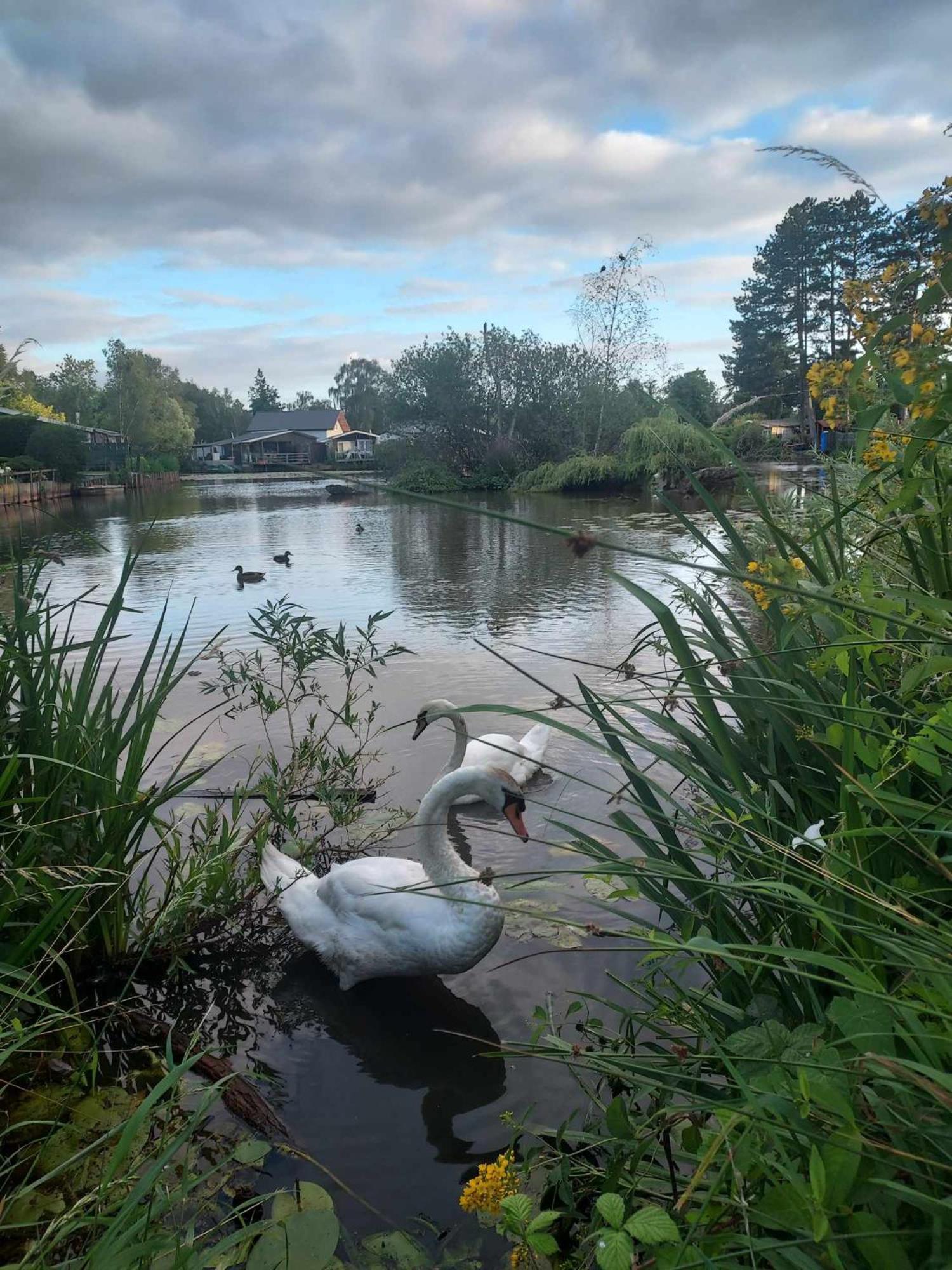 Rustig Gelegen Chalet Kapeki Met Tuin Aan Het Water Geel Luaran gambar