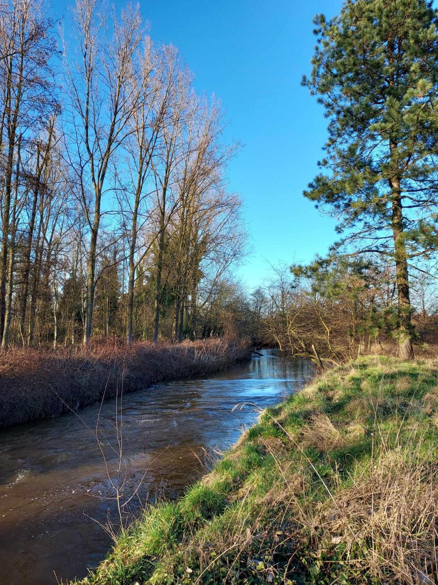 Rustig Gelegen Chalet Kapeki Met Tuin Aan Het Water Geel Luaran gambar